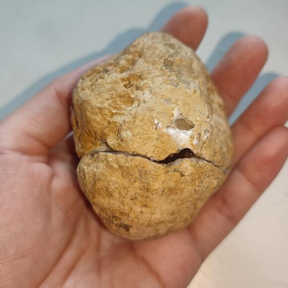 Natural Crack-open Geode - Picture 1 of 8